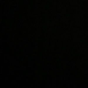 Meet your Posher, Callie